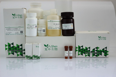 L-Proline L-脯氨酸