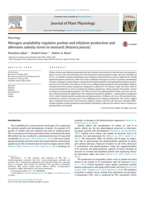 有效氮調節脯氨酸和乙烯生產和緩解鹽脅迫對芥菜外文翻譯資料