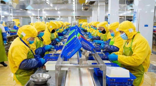 搶生產(chǎn),保供應(yīng) 國聯(lián)水產(chǎn)多措并舉硬核保障全國春節(jié)預(yù)制菜供應(yīng)