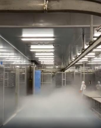 探廠國內寵物食品凍干廠 國產凍干品質如何，L-羥脯氨酸生產的關鍵作用